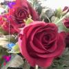 User photo