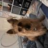 User photo