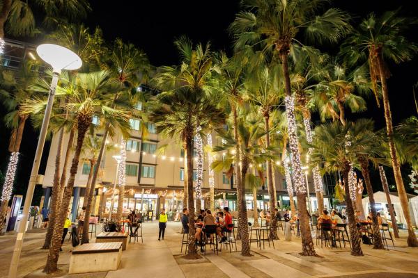 Tall palm trees wrapped in fairy lights, with people sitting at tables and chairs underneath the trees. It is nighttime. 